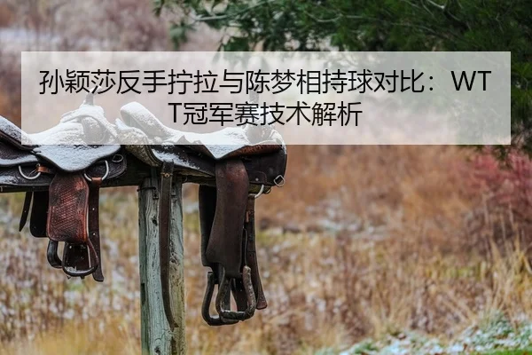 孙颖莎反手拧拉与陈梦相持球对比：WTT冠军赛技术解析